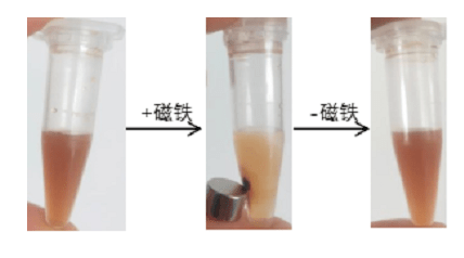 磁性高分子微球粒径和Zeta电位测试