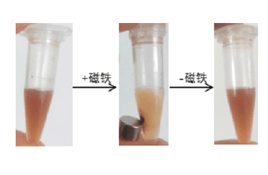 磁性高分子微球粒径和Zeta电位测试