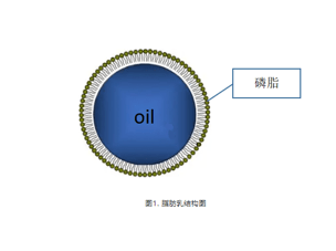 激光粒度分析仪用于脂肪乳注射液粒度的研究
